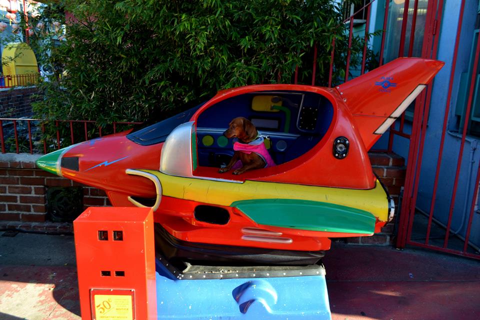 10422910_10153006502786060_1049438049765063755_n