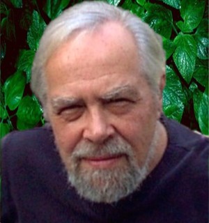 a balding man with grey hair and grey facial hair looks at the camera
