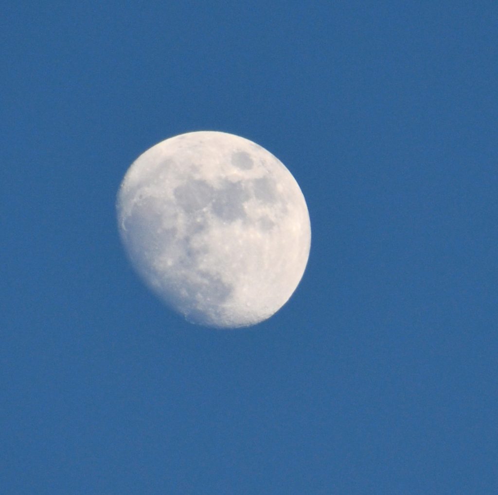 The gibbous moon set in the early evening sky