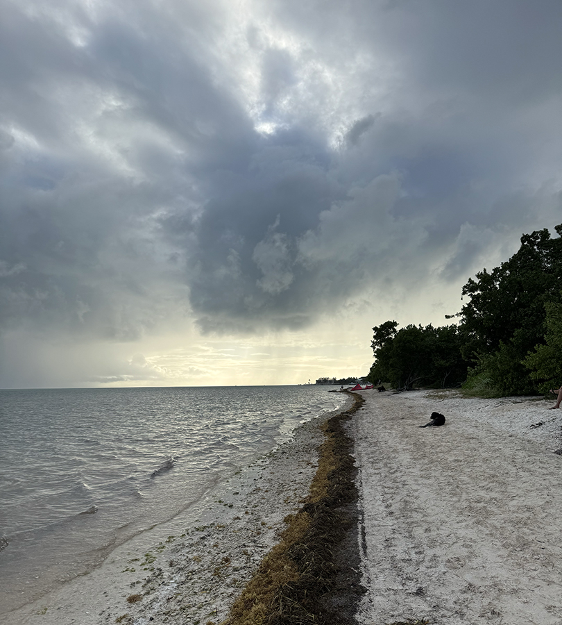 A sandy beach with gray skies in the moments before a storm